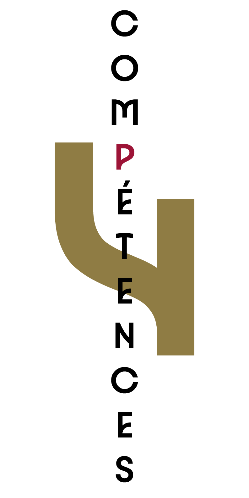 catégorie 4 compétences